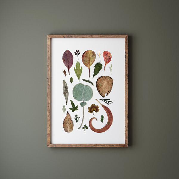 'LOTS OF LEAVES' BOTANICAL COLLATION - Art Print