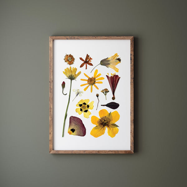 'SUNNY DAYS' BOTANICAL COLLATION - Art Print