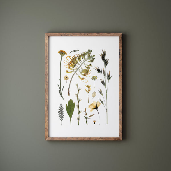'EDGE OF THE WOODS' BOTANICAL COLLATION - Art Print