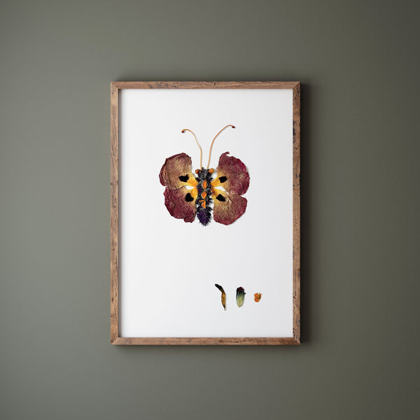 'PERCIVAL' - Art Print
