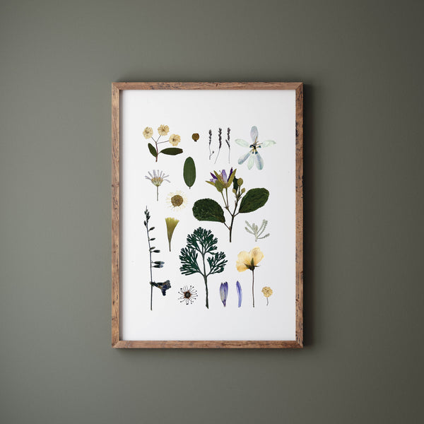 'WOODLAND PATH' BOTANICAL COLLATION - Art Print