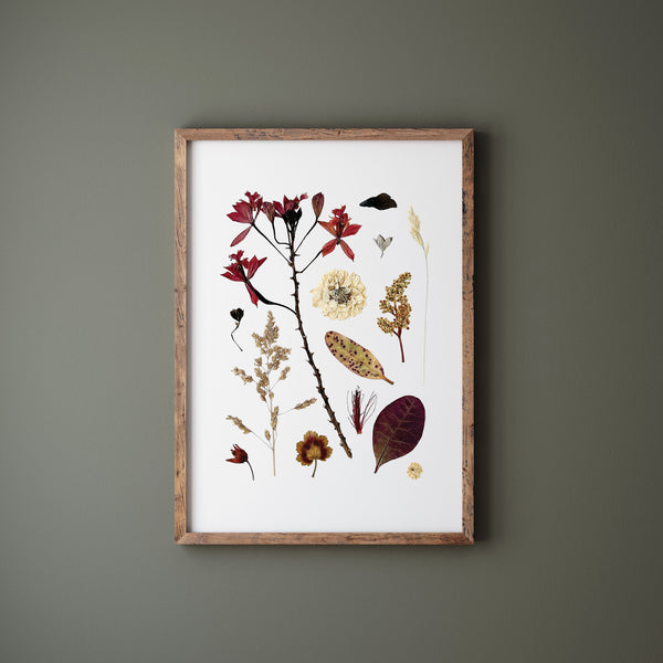 'EVENING BREEZE' BOTANICAL COLLATION - Art Print