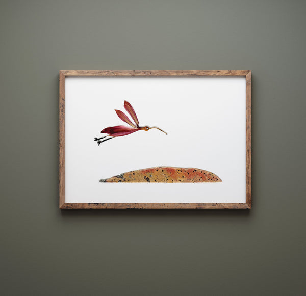 'HERBERT' - Art Print