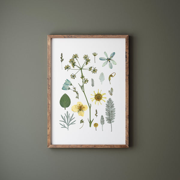 'GARDEN IN STARLIGHT' BOTANICAL COLLATION - Art Print