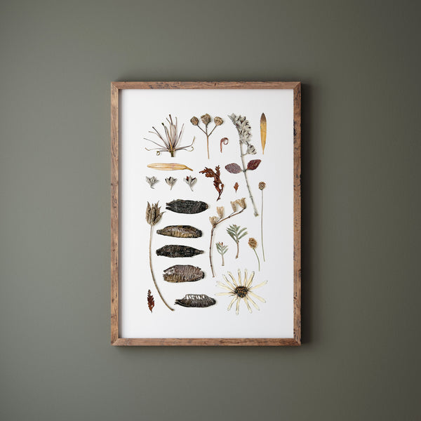'GATHERED WINTER' BOTANICAL COLLATION - Art Print