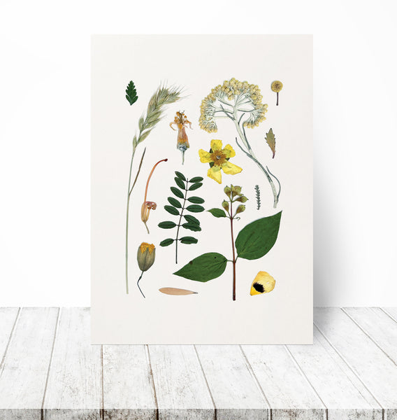 'LAZY DAYS' BOTANICAL COLLATION - Art Print