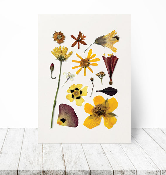 'SUNNY DAYS' BOTANICAL COLLATION - Art Print