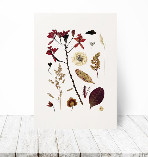 'EVENING BREEZE' BOTANICAL COLLATION - Art Print