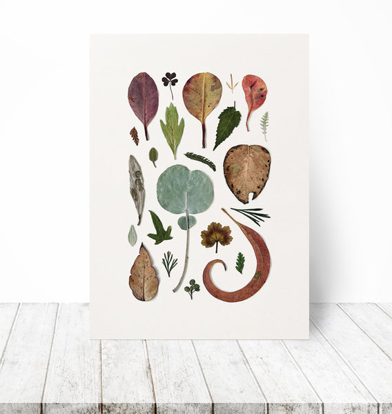 'LOTS OF LEAVES' BOTANICAL COLLATION - Art Print