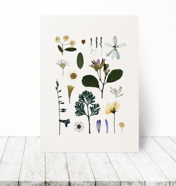 'WOODLAND PATH' BOTANICAL COLLATION - Art Print