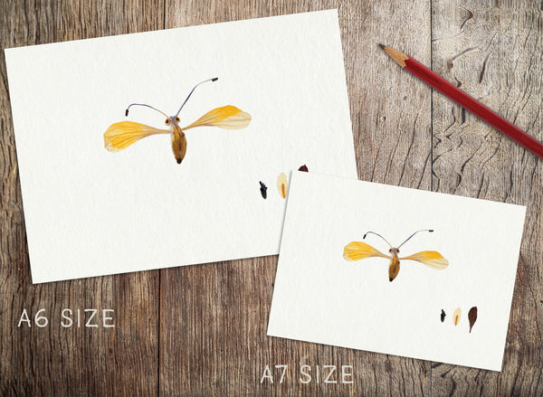 'GILBERT' - Art Print