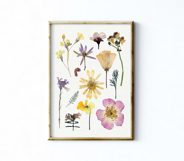 'BAREFOOT MEADOW' BOTANICAL COLLATION - Art Print