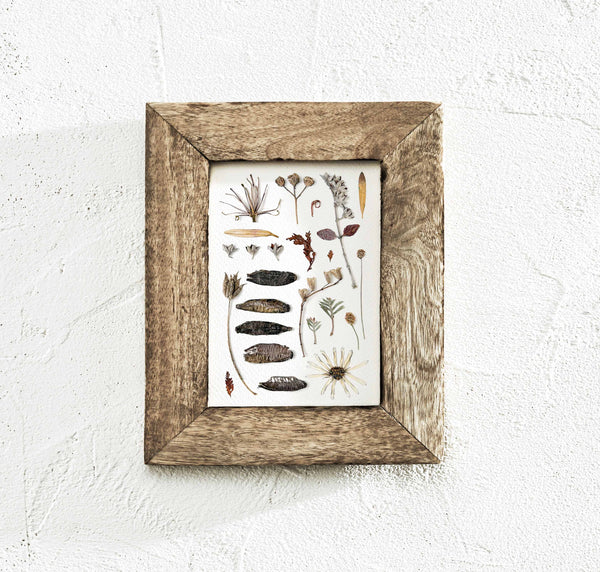 'WINTER CALM' BOTANICAL COLLATION - Art Print