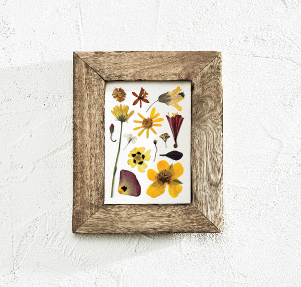 'SUNNY DAYS' BOTANICAL COLLATION - Art Print