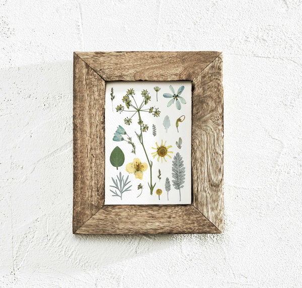 'GARDEN IN STARLIGHT' BOTANICAL COLLATION - Art Print