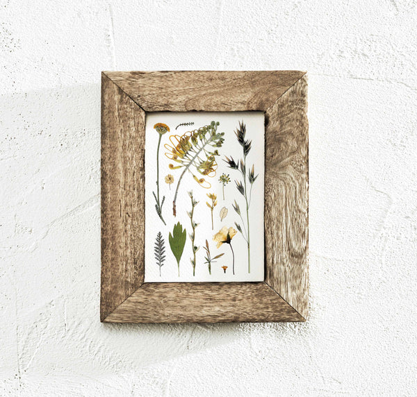 'EDGE OF THE WOODS' BOTANICAL COLLATION - Art Print