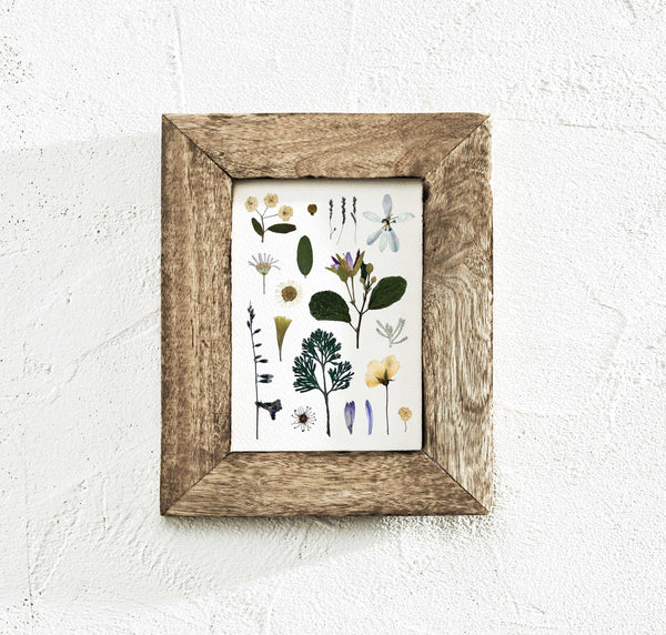 'WOODLAND PATH' BOTANICAL COLLATION - Art Print