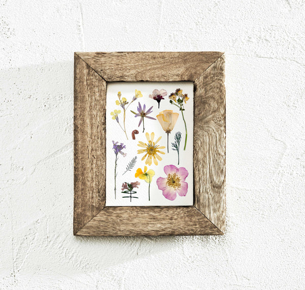 'BAREFOOT MEADOW' BOTANICAL COLLATION - Art Print
