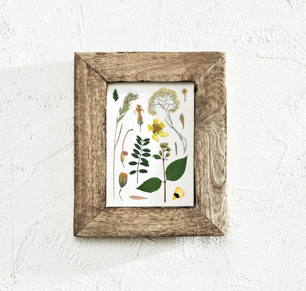 'LAZY DAYS' BOTANICAL COLLATION - Art Print