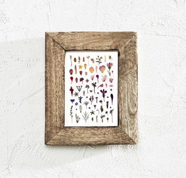 'LITTLE PETALS AND LEAVES' - Art Print
