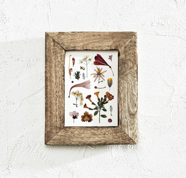 'AUTUMN DAWN' BOTANICAL COLLATION - Art Print