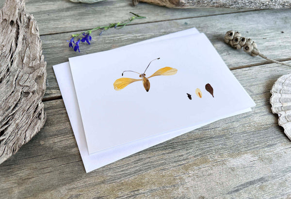 'GILBERT' - Greetings Card