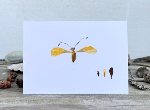 'GILBERT' - Greetings Card