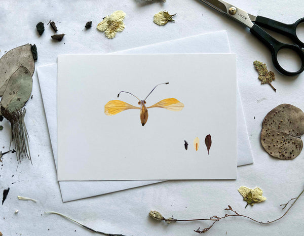 'GILBERT' - Greetings Card