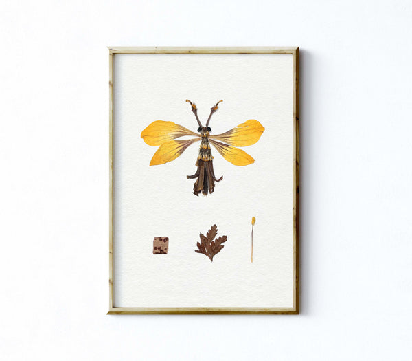 'CLIFFORD' - Art Print