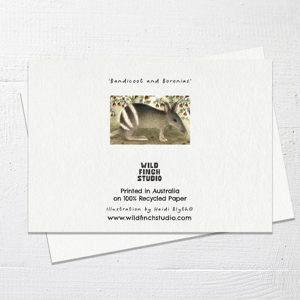 BANDICOOT AND BORONIAS - Greetings Card