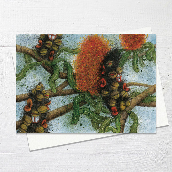 BANSIA HOUSES - Greetings Card