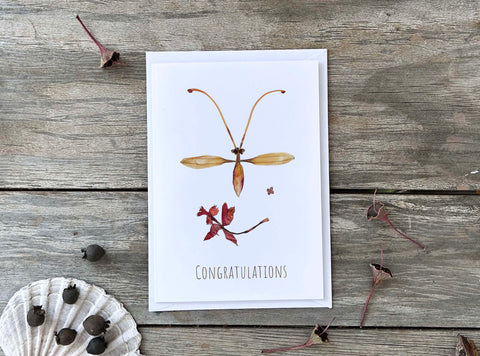 CONGRATULATIONS INSECT 'JULIUS' - Greetings Card