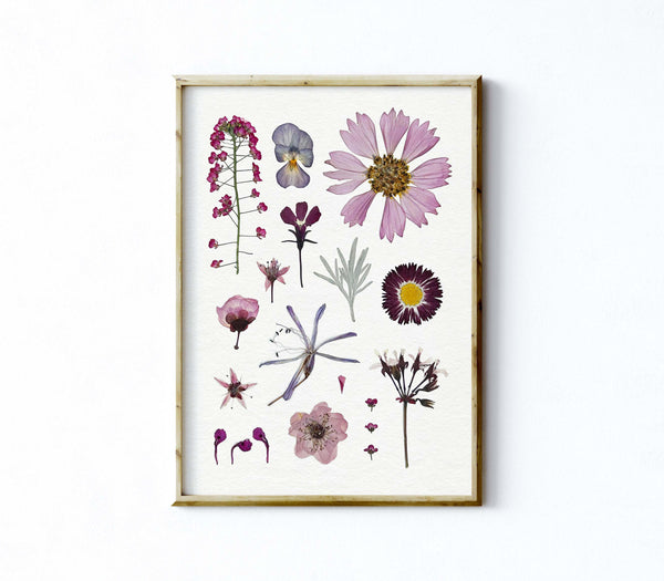 'DAYDREAMER' - Art Print