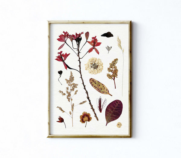 'EVENING BREEZE' BOTANICAL COLLATION - Art Print