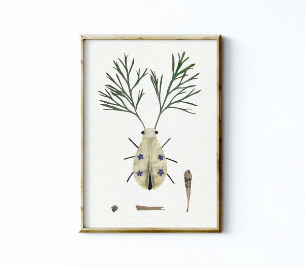'FLORIAN' - Art Print