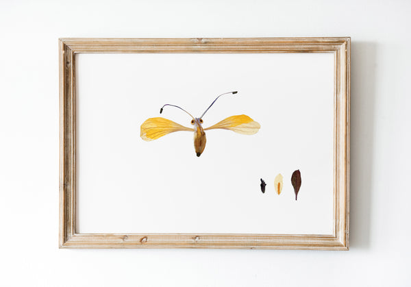 'GILBERT' - Art Print