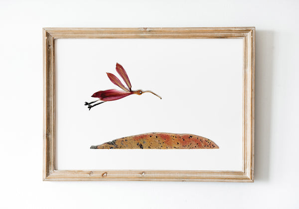 'HERBERT' - Art Print