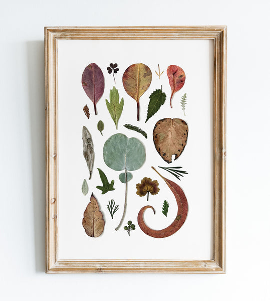 'LOTS OF LEAVES' BOTANICAL COLLATION - Art Print