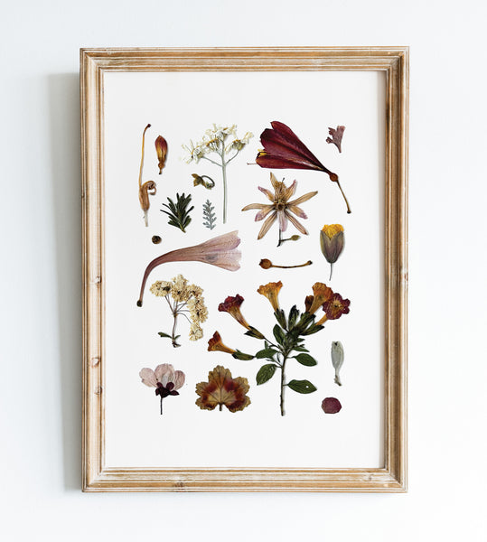 'AUTUMN DAWN' BOTANICAL COLLATION - Art Print