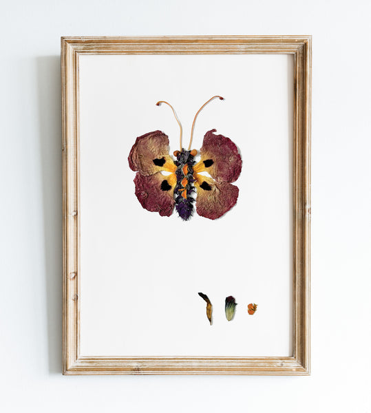 'PERCIVAL' - Art Print