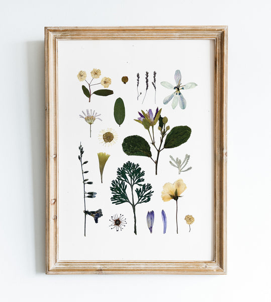 'WOODLAND PATH' BOTANICAL COLLATION - Art Print