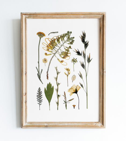 'EDGE OF THE WOODS' BOTANICAL COLLATION - Art Print