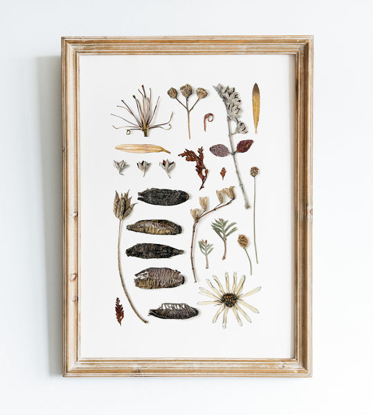 'GATHERED WINTER' BOTANICAL COLLATION - Art Print