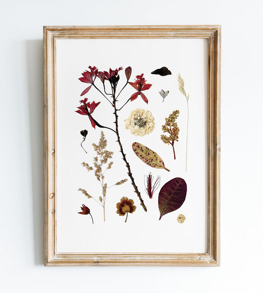 'EVENING BREEZE' BOTANICAL COLLATION - Art Print
