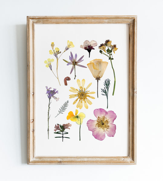 'BAREFOOT MEADOW' BOTANICAL COLLATION - Art Print