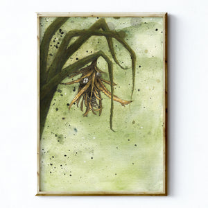 CASE MOTH HOUSE