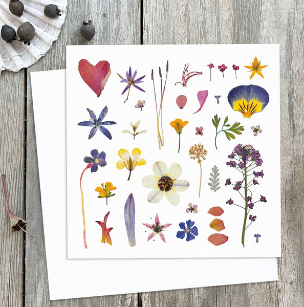 'SPRINGTIME' - Greetings Card
