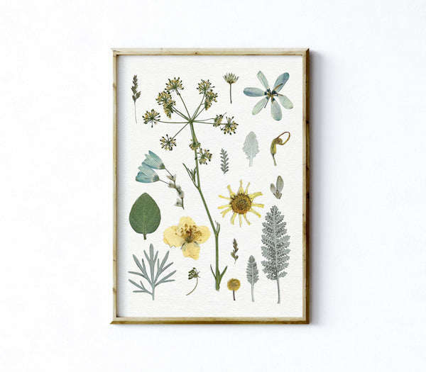'GARDEN IN STARLIGHT' BOTANICAL COLLATION - Art Print