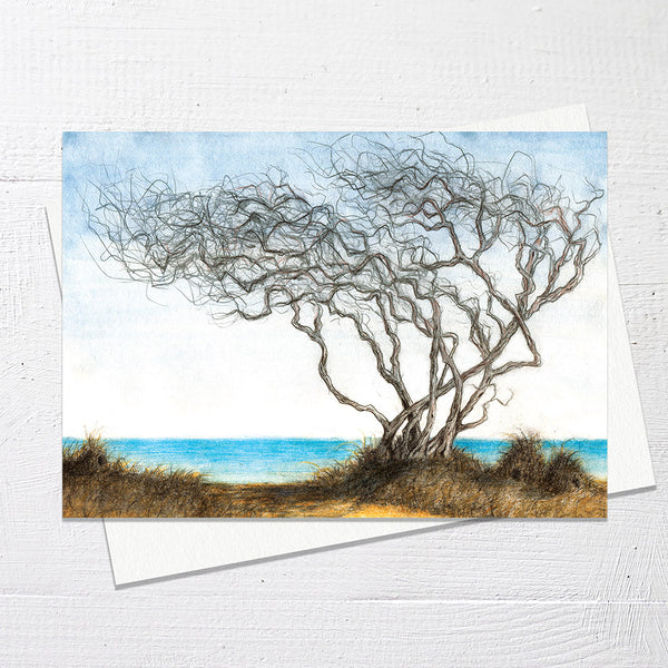 LITTLE HUMMOCK HOMES - Greetings Card