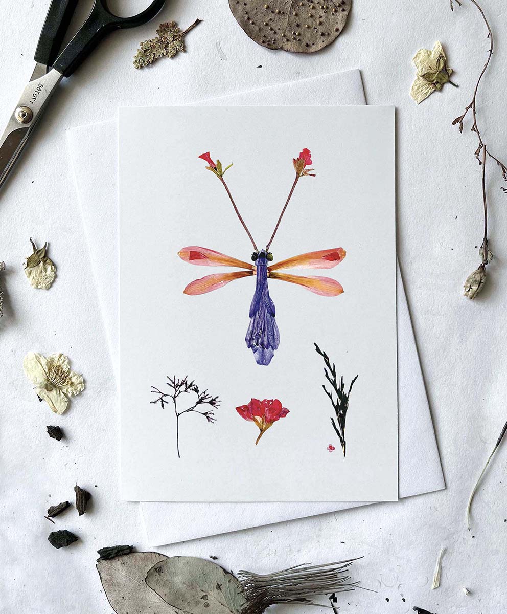 'HALCYON' - Greetings Card